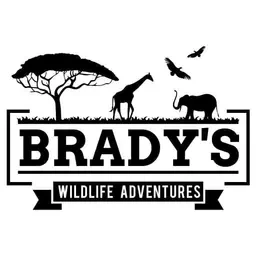 Safari Tanzania 2026: Experience Unforgettable Luxury Tanzania Safaris with Brady’s Wildlife Adventures