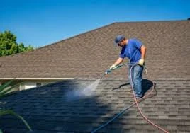 Professional Services to Make Sure Every Roof Looks Fresh and Strong Again