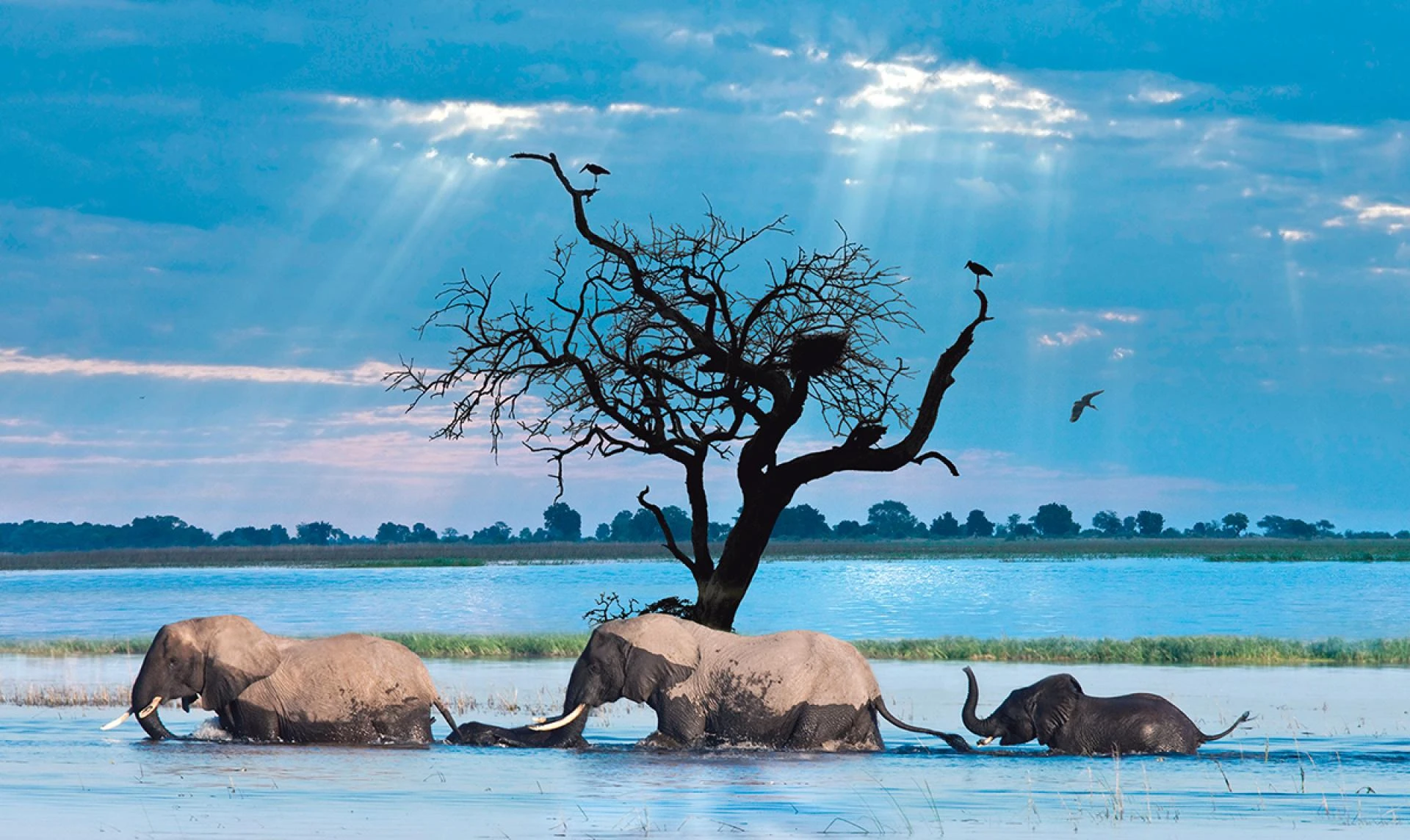 Get Online Botswana visa from Taiwan