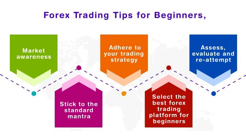 Forex Trading Basic Knowledge: A Simple Guide for Beginners