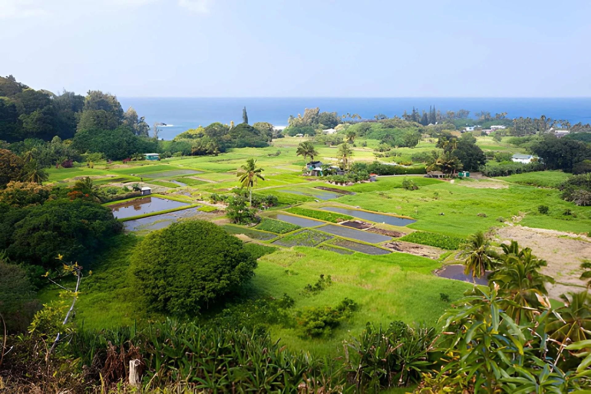 Maui Travel Guide 2026: Best Beaches, Hotels, Food & Hidden Gems