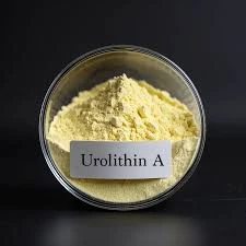 7 Best Urolithin A Supplements You Should Try