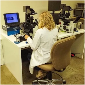 Online vs On-Campus Clinical Embryology Programs: Which Is Better?