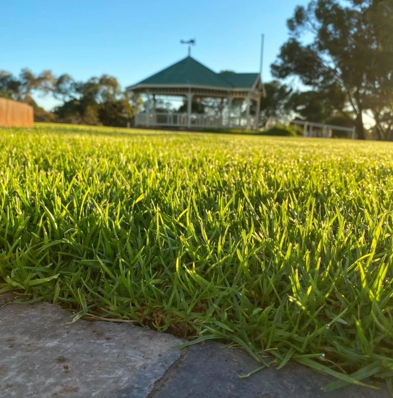 The Ultimate Lawn Care Guide: Tips for a Greener, Healthier Yard