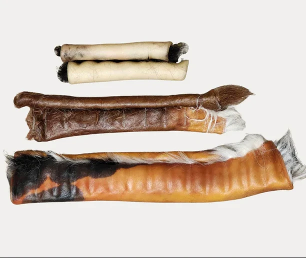 Are Rawhide Dental Chews for Dogs Safe? What Every Pet Owner Should Know