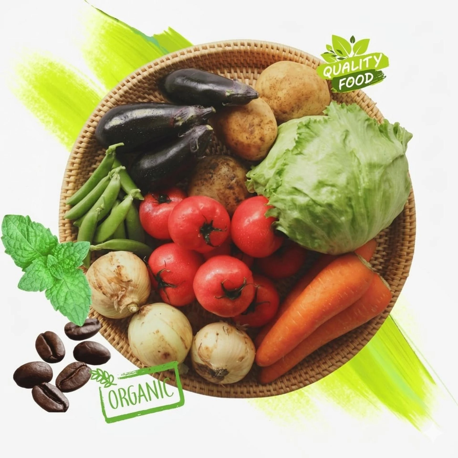 Experience the Rich Taste of India in Etobicoke Like Never Before