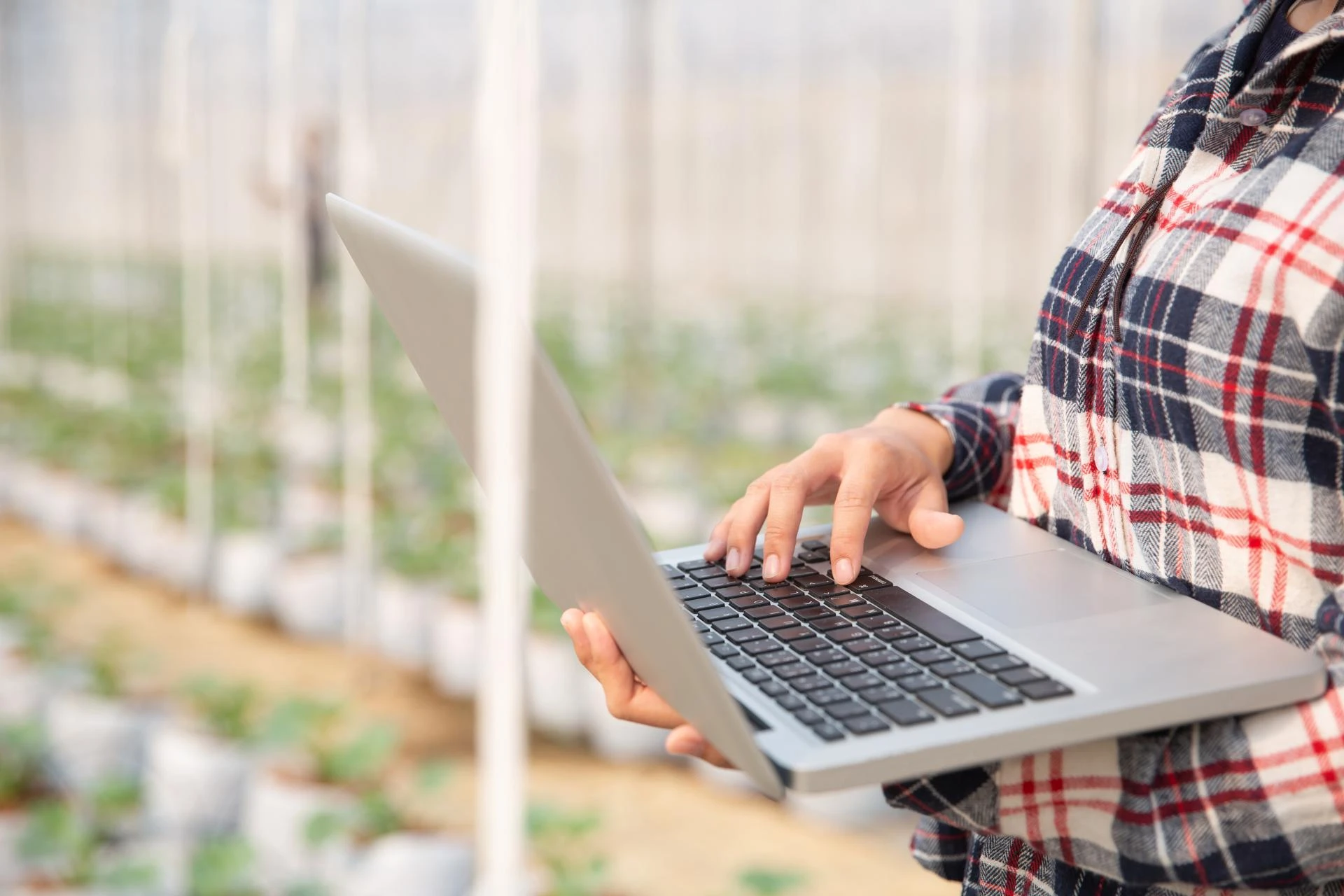 How Precision Agriculture Relies on Custom Software Development