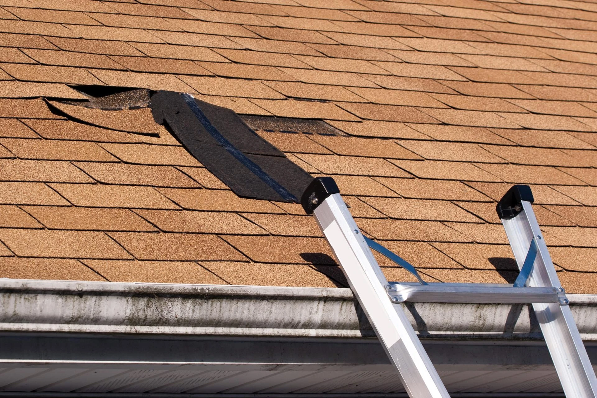 How to Know If Your Roof Needs Repair or Full Replacement