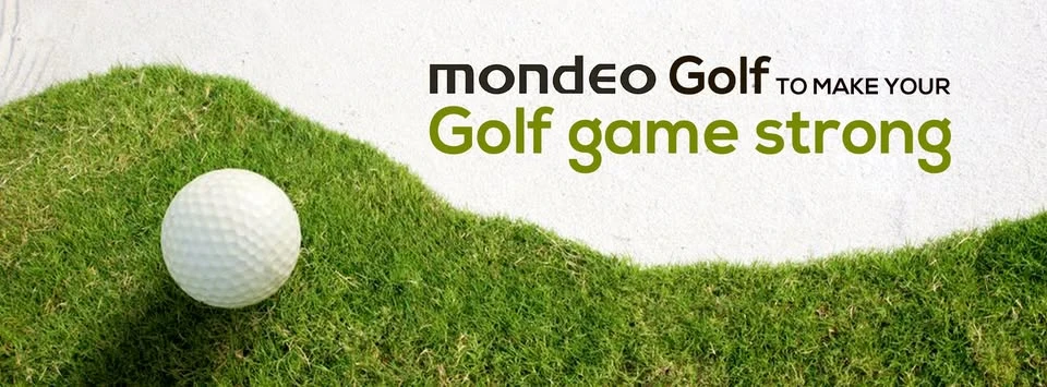 How Mallet Putter Alignment Systems Improve Aim and Lower Your Putting Scores