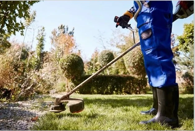 Professional Lawn Mowing Malabar Services for a Perfect Garden