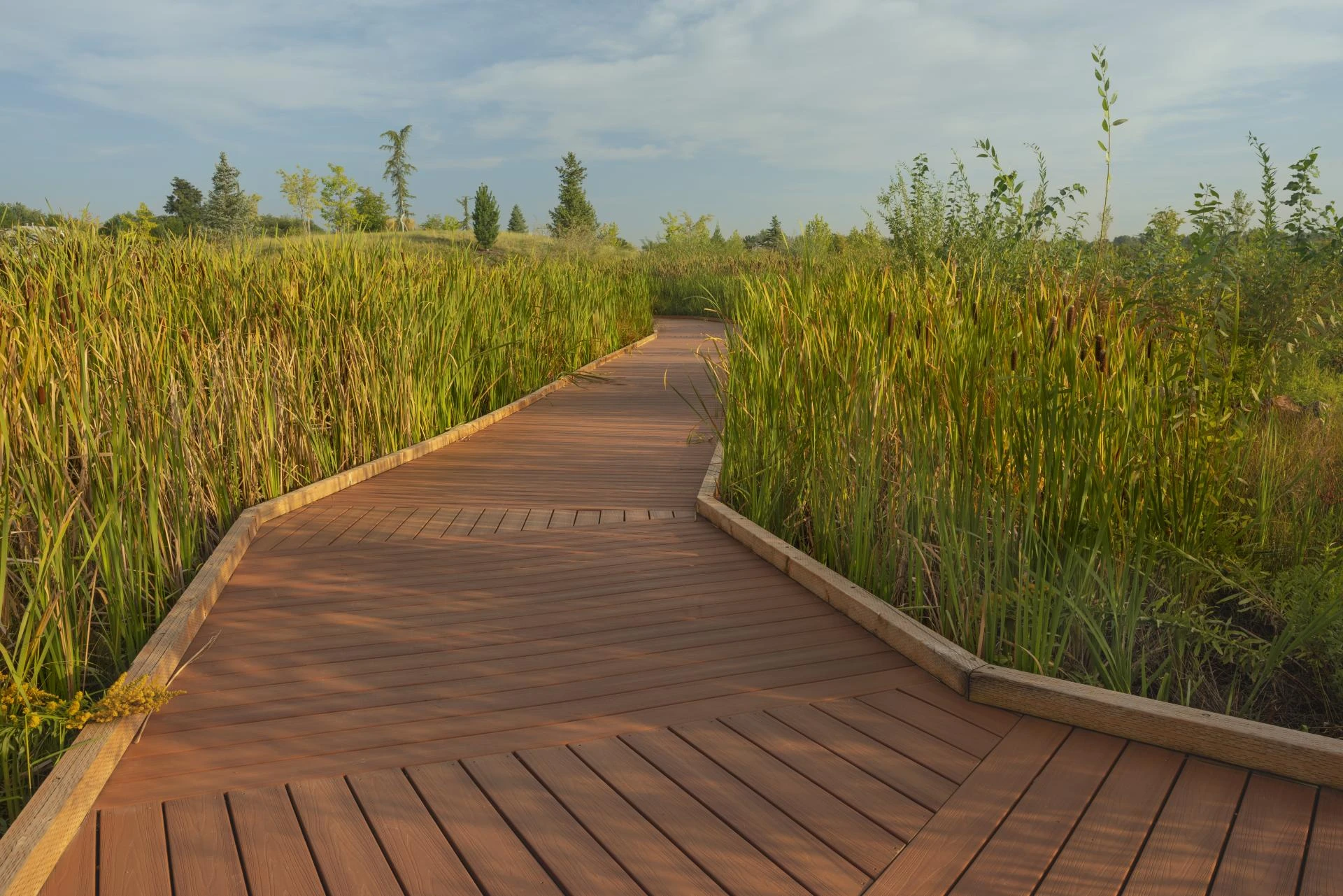 Paving Wood: A Natural and Sustainable Choice for Modern Outdoor Spaces