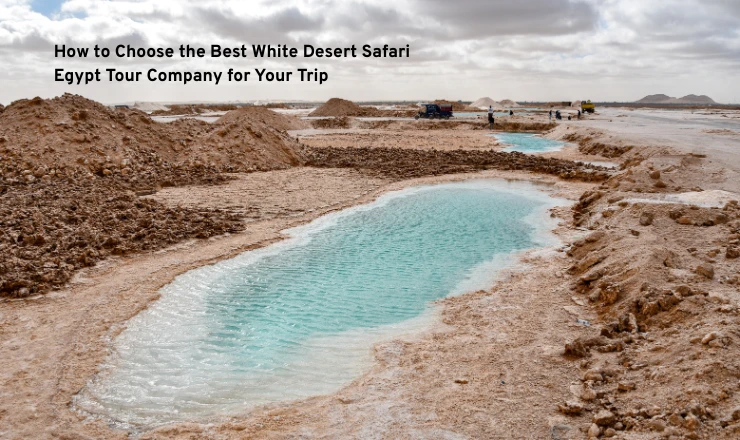 How to Choose the Best White Desert Safari Egypt Tour Company for Your Trip