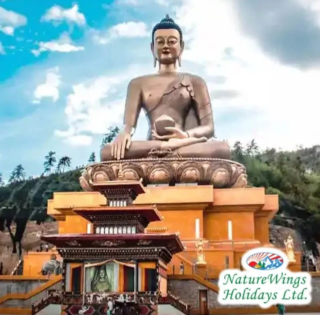 Bhutan Package Tour from Bangalore: A Perfect Blend of Nature and Spirituality