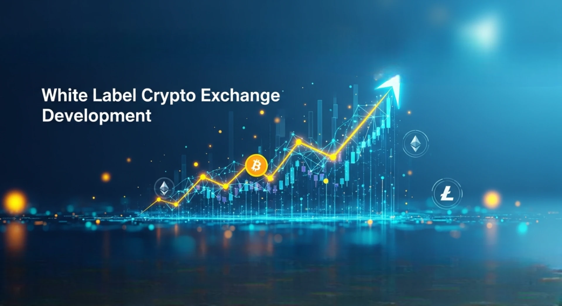 Step-by-Step Guide to Starting a White Label Crypto Exchange Business