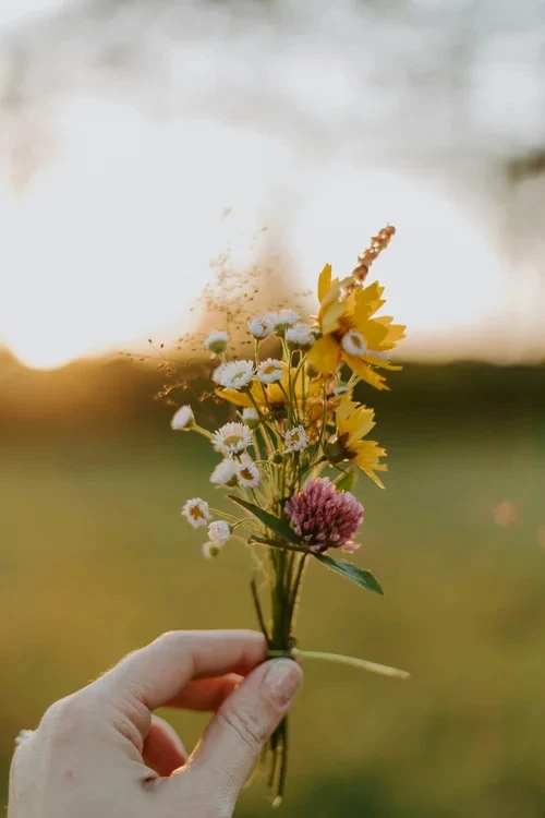 Is a Countryside Retreat the Perfect Way to Relax and Unwind?