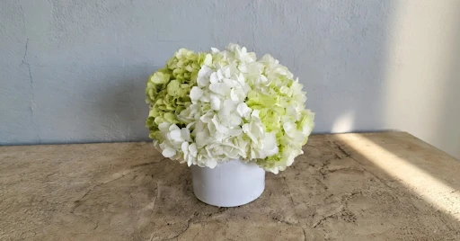 Why Do Flowers Play a Powerful Role in Emotional Healing?