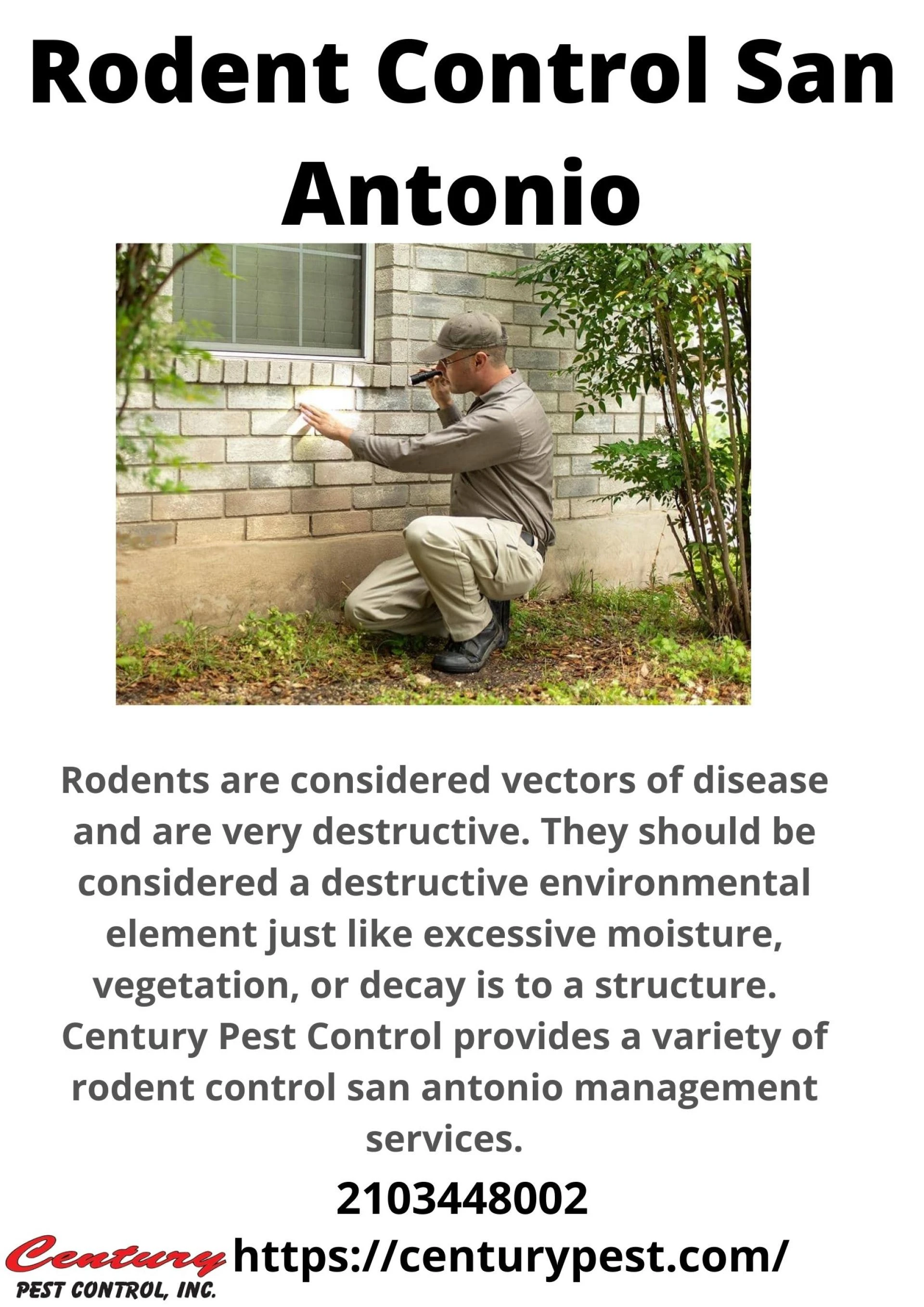 Emergency Rodent Removal in San Antonio: Quick Action Tips