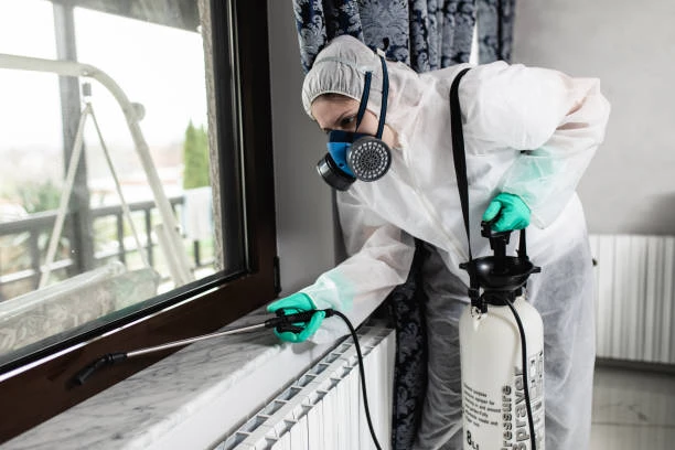 Signs You Need a Pest Control Expert