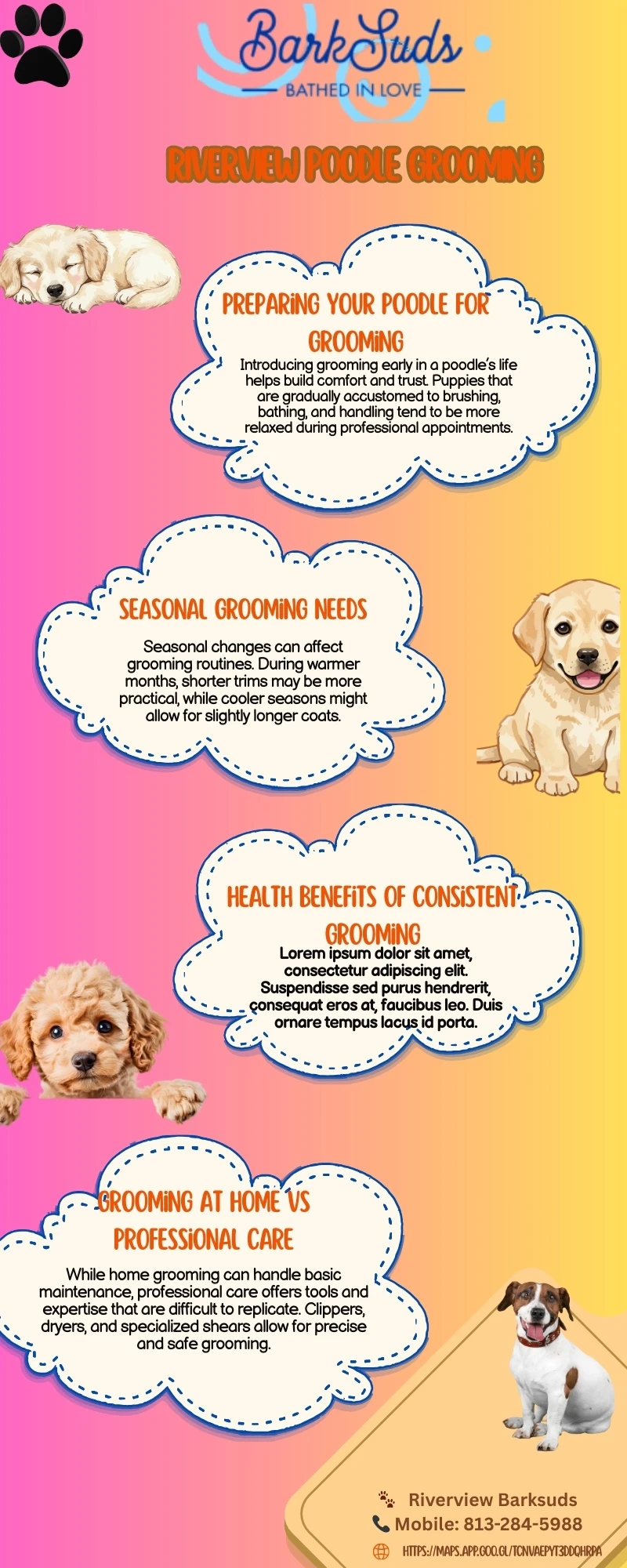 Essential Grooming Practices for Healthy Poodles