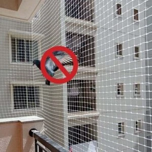 Why Pigeon Safety Nets Are Essential for Homes in Chennai