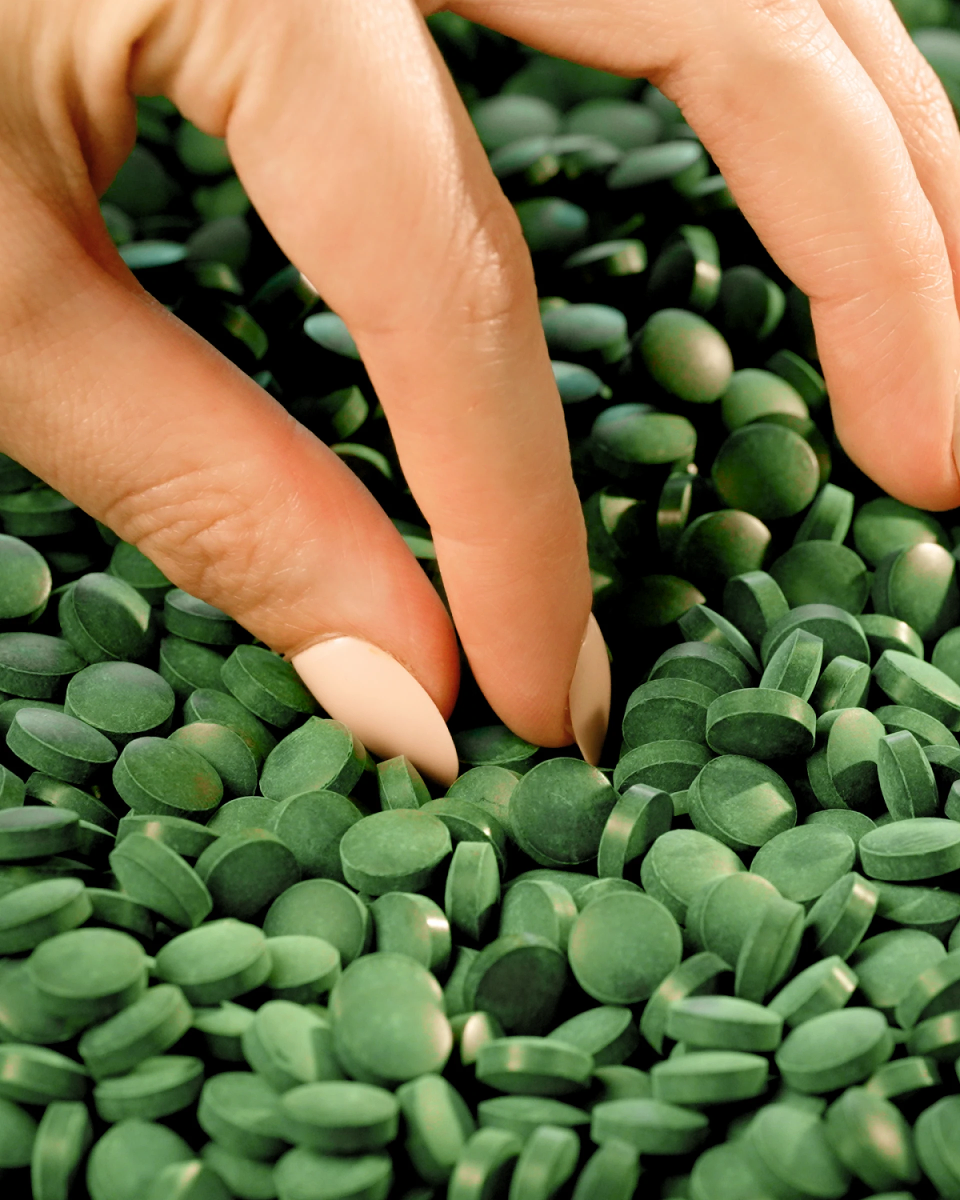 Is Algae the Ultimate Spring Food?