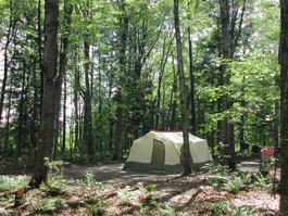 Experience the True Comfort Through the Best Places to Stay on the AU Train