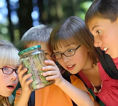 Are personalized learning plans available in Summer school programs?