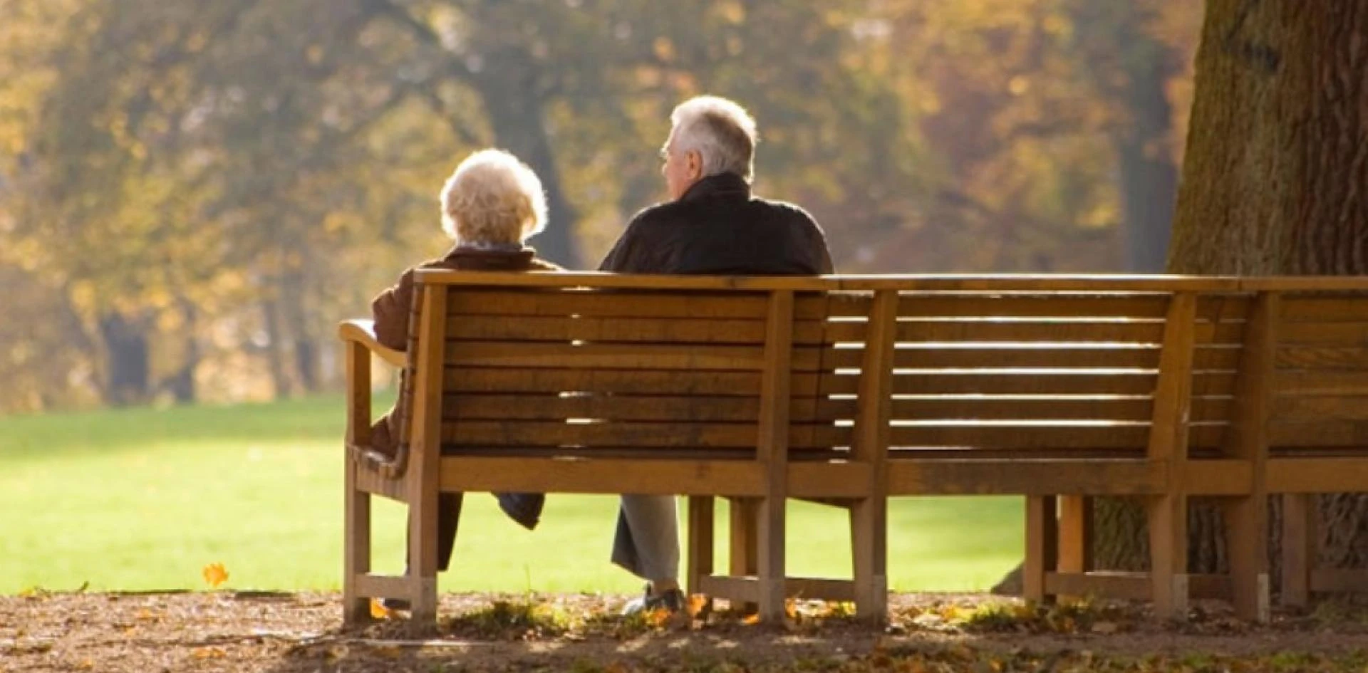 Why‍ Hiring Loc‍a‍l Wills and Estates Lawy⁠ers M‍akes a‍ Difference in Estate Planning