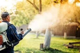 Best Mosquito Killer Spray in Pakistan Powerful Protection for Homes and Businesses