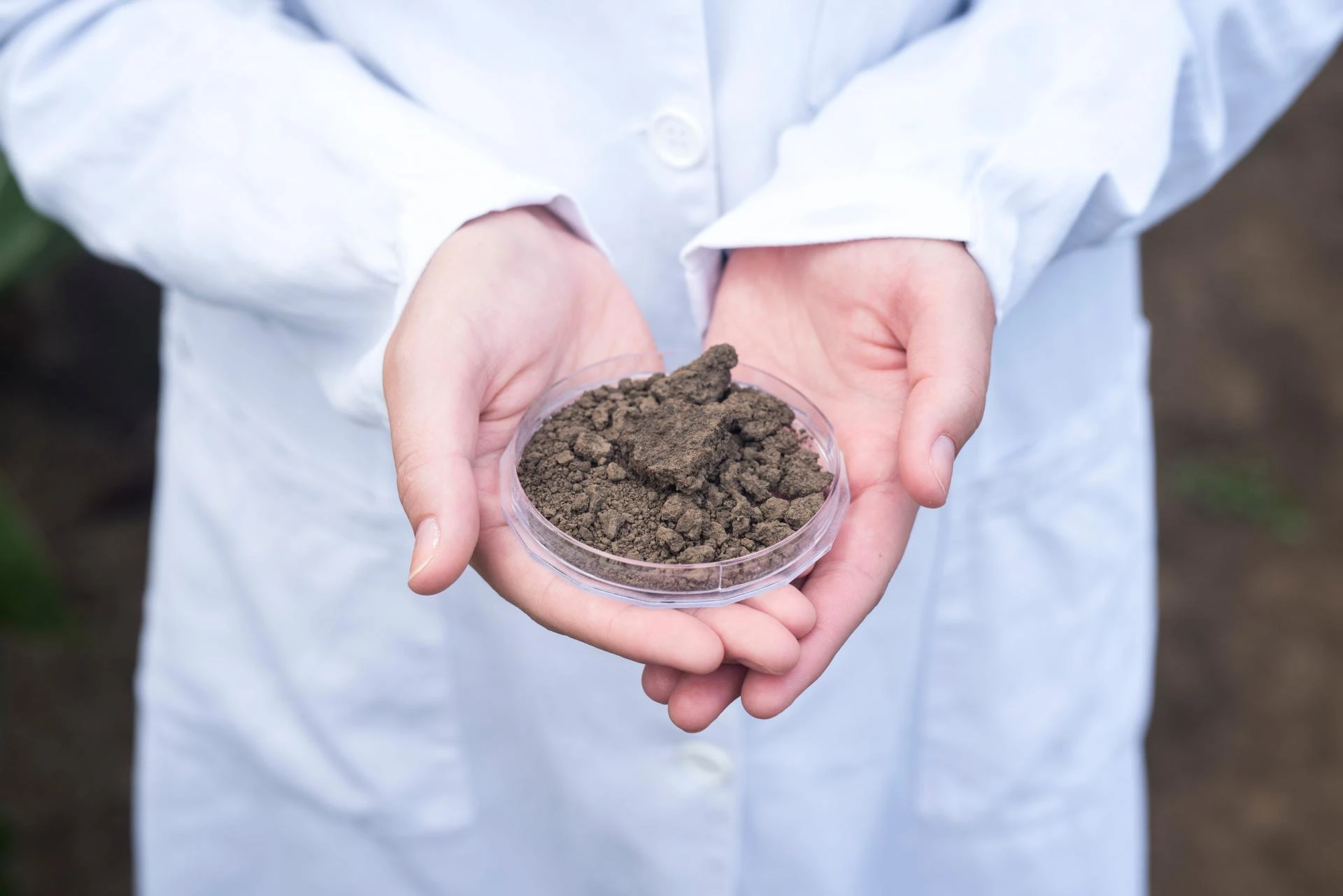 The Impact of Soil Testing on Fertilizer Efficiency