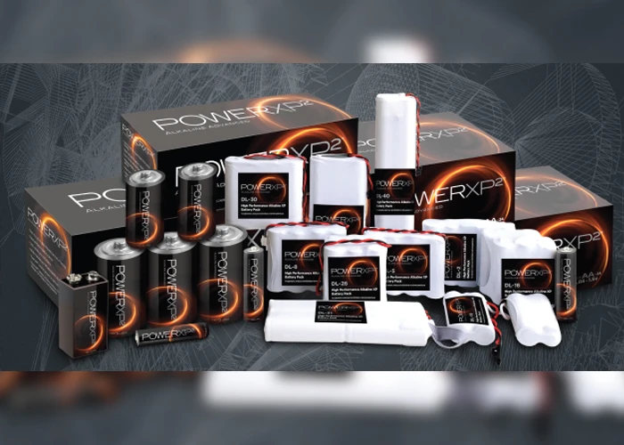 Best alkaline battery on a budget: Are you paying for the label?