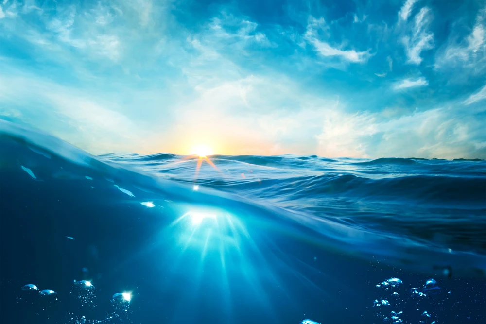 Transforming Business Growth with Certified SaaS Revenue Models and Valuation Strategies