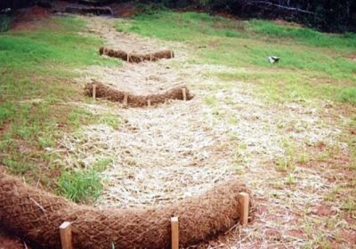 Field-Tested Strategies for Natural Sediment Management in Large-Scale Developments