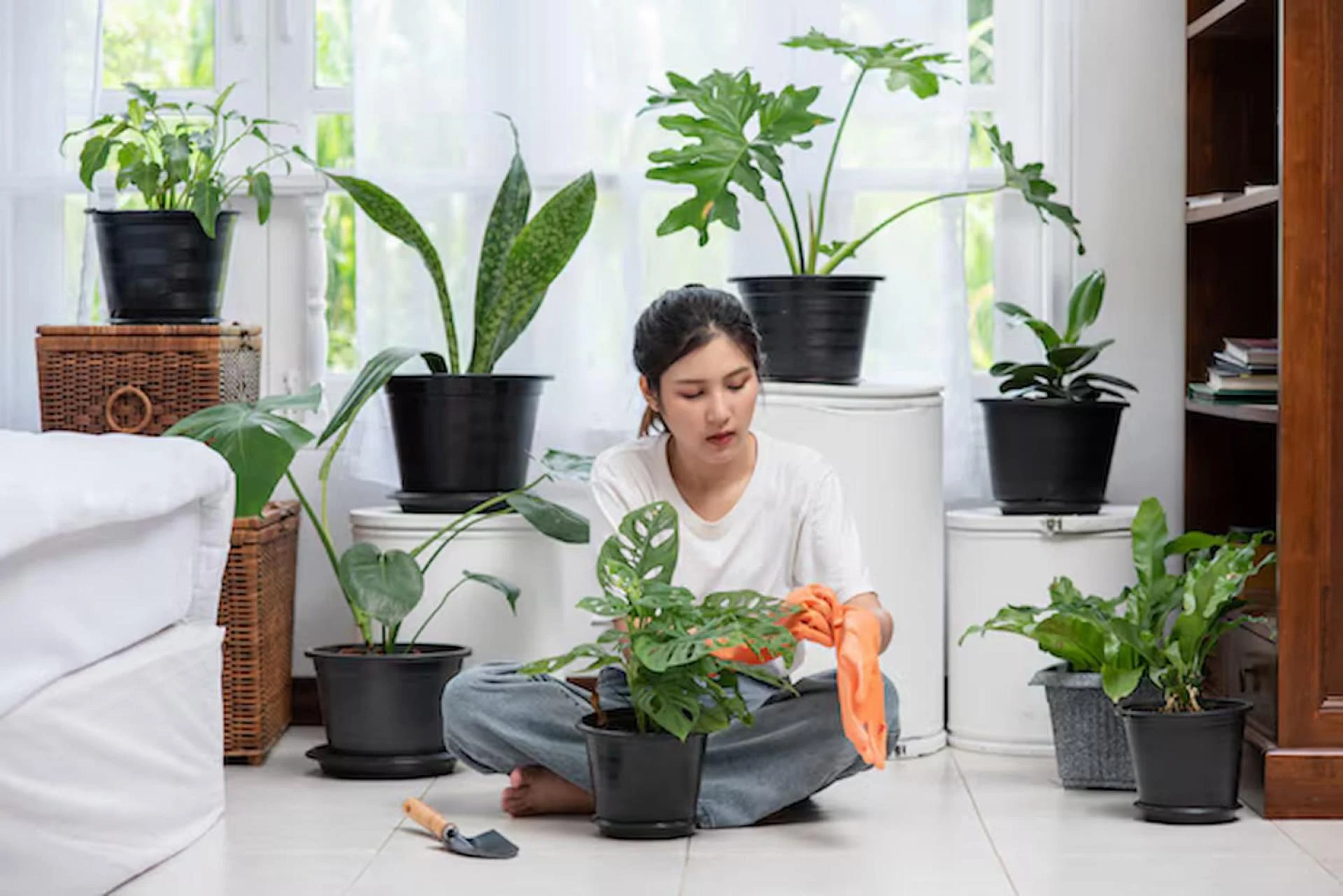 Indoor Plant Service Benefits for Homes and Offices