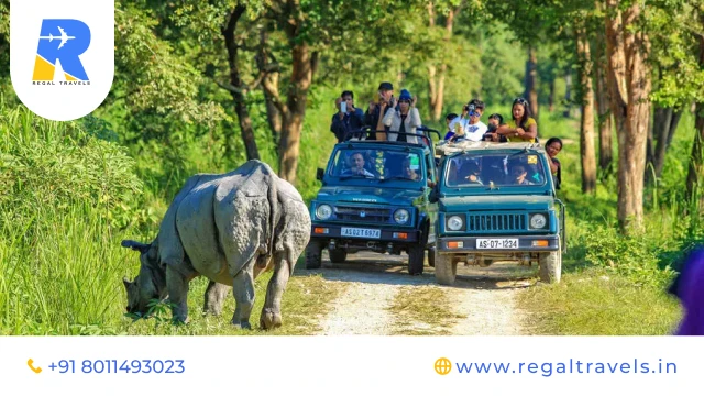 Arunachal Pradesh and Kaziranga Tour Explore Wildlife and Himalayan Beauty