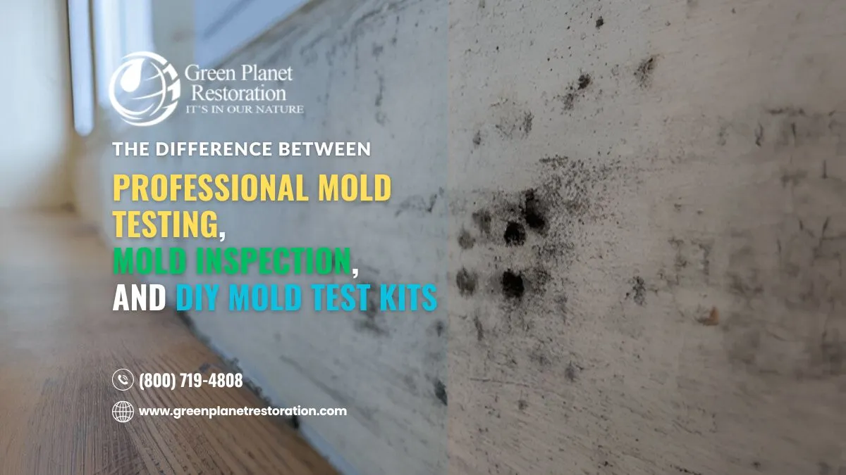 Mold Remediation Culver City  – Testing vs Inspection Guide