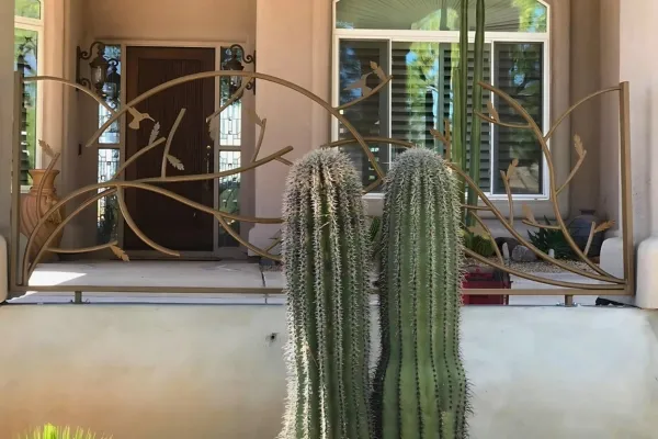 The AZ Fence Company: Crafting Quality, Security, and Style