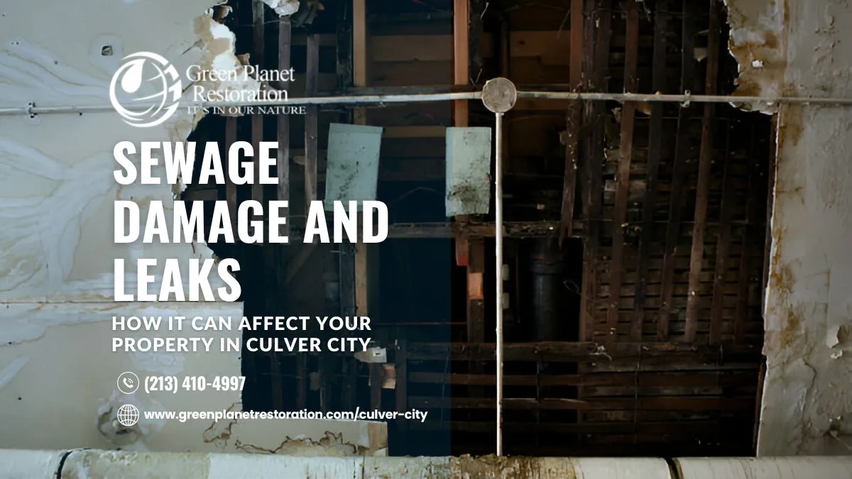 Sewage Cleanup Services Culver City – Sewage Damage & Leaks Guide
