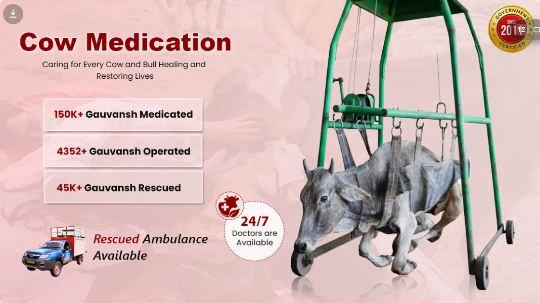 Medical Seva for Cows: A Noble Step of Compassion