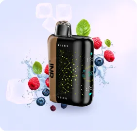 JNR High Puff Disposable Vapes in France For Wholesale Guide