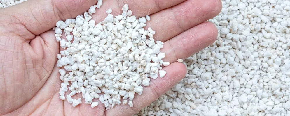What Does Perlite Look Like? A Complete Guide Before You Buy Perlite in Bulk
