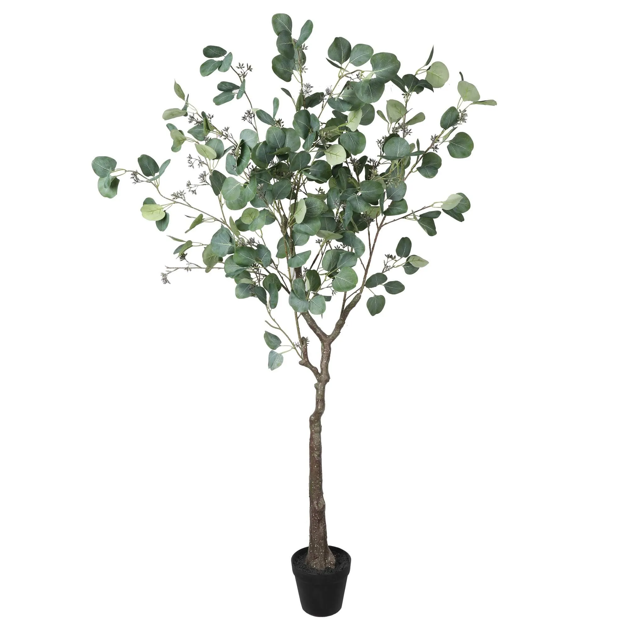 Decorating with a Realistic Artificial Eucalyptus Tree