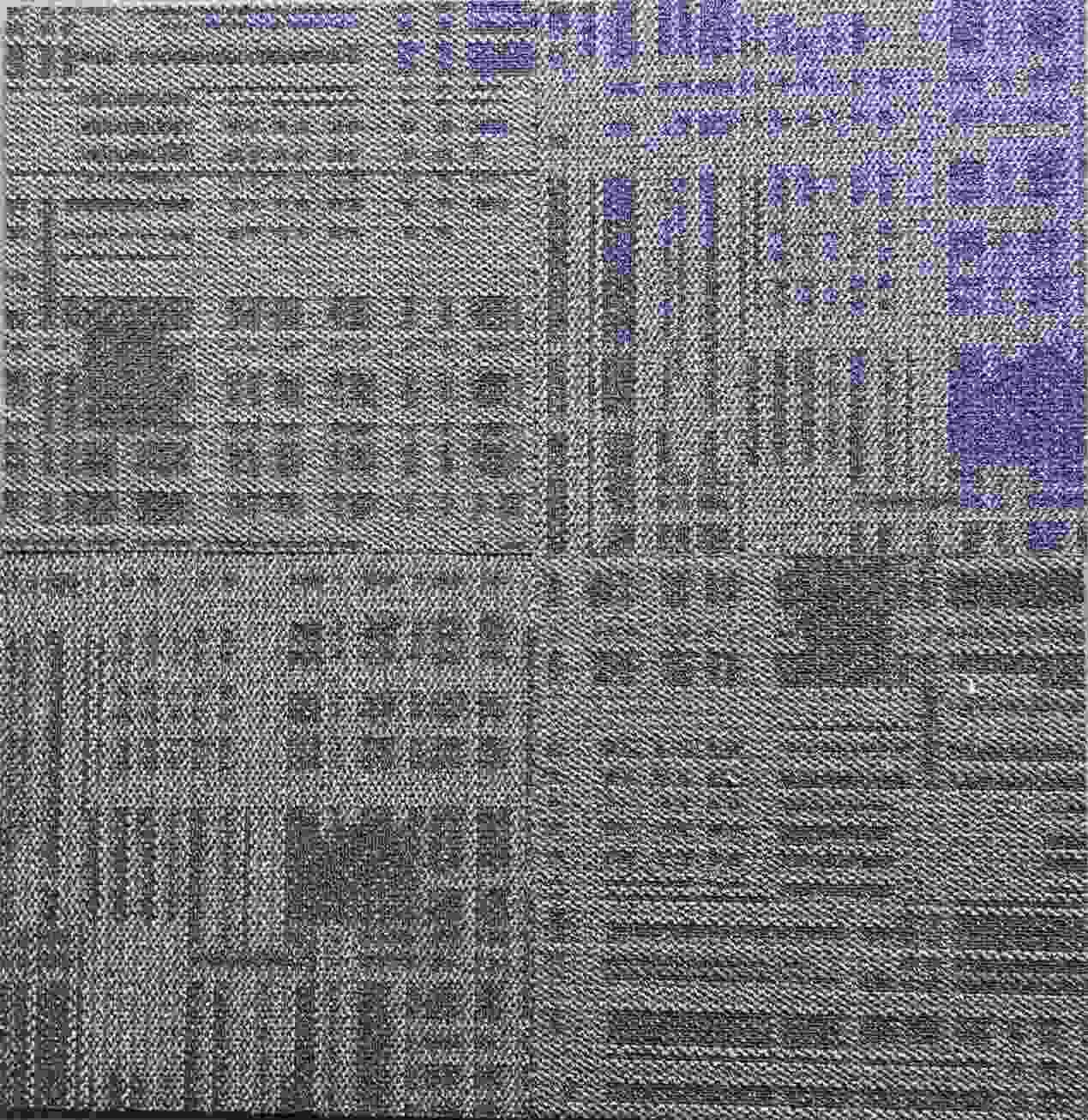 “How Often Should You Replace Your Carpet? A Complete Guide”