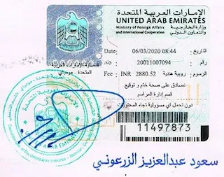 The Complete Guide to Certificate Attestation for UAE: Everything You Need to Know Before You Move