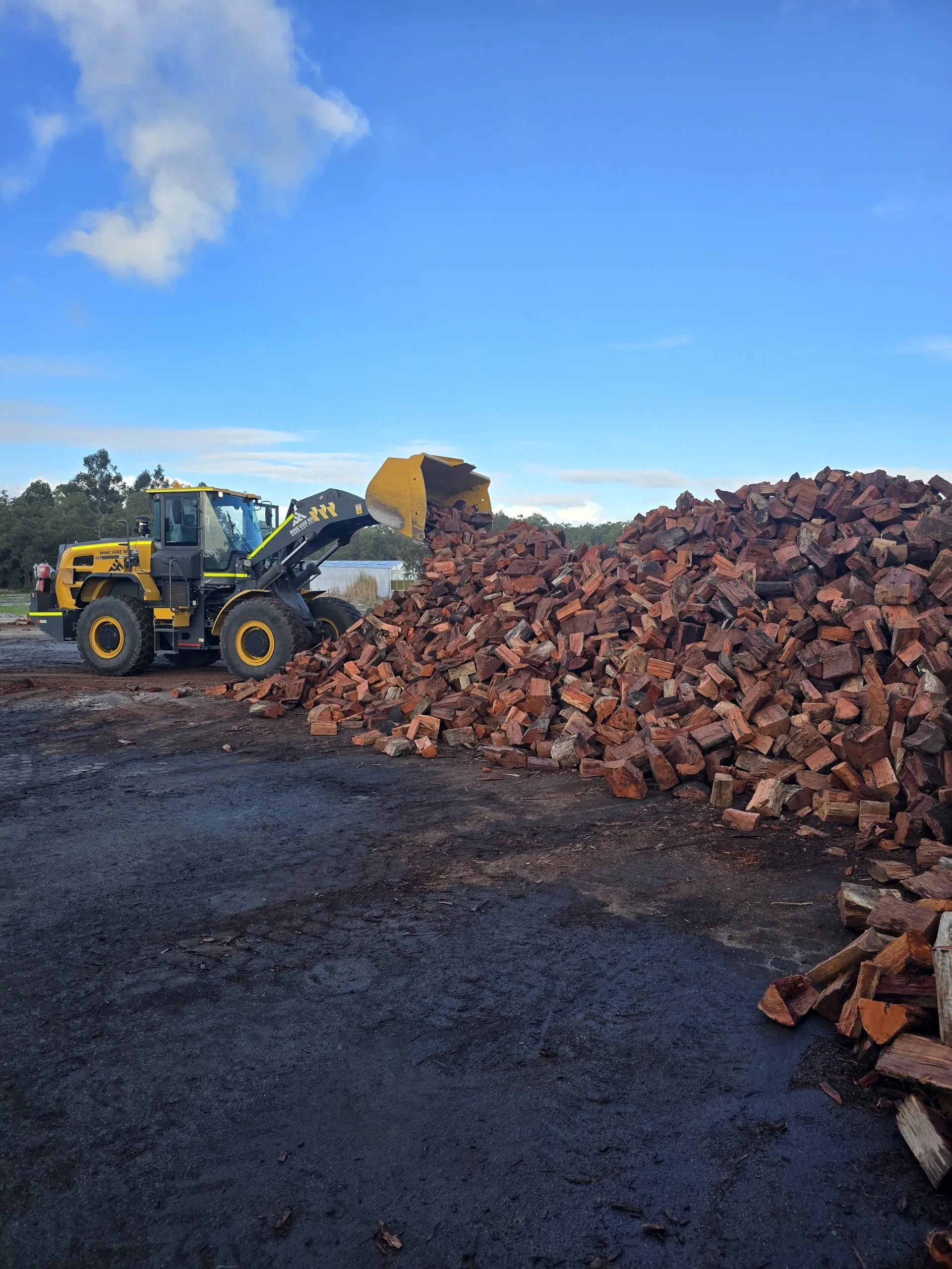 Top 10 Firewood Burning Tips for Beginners