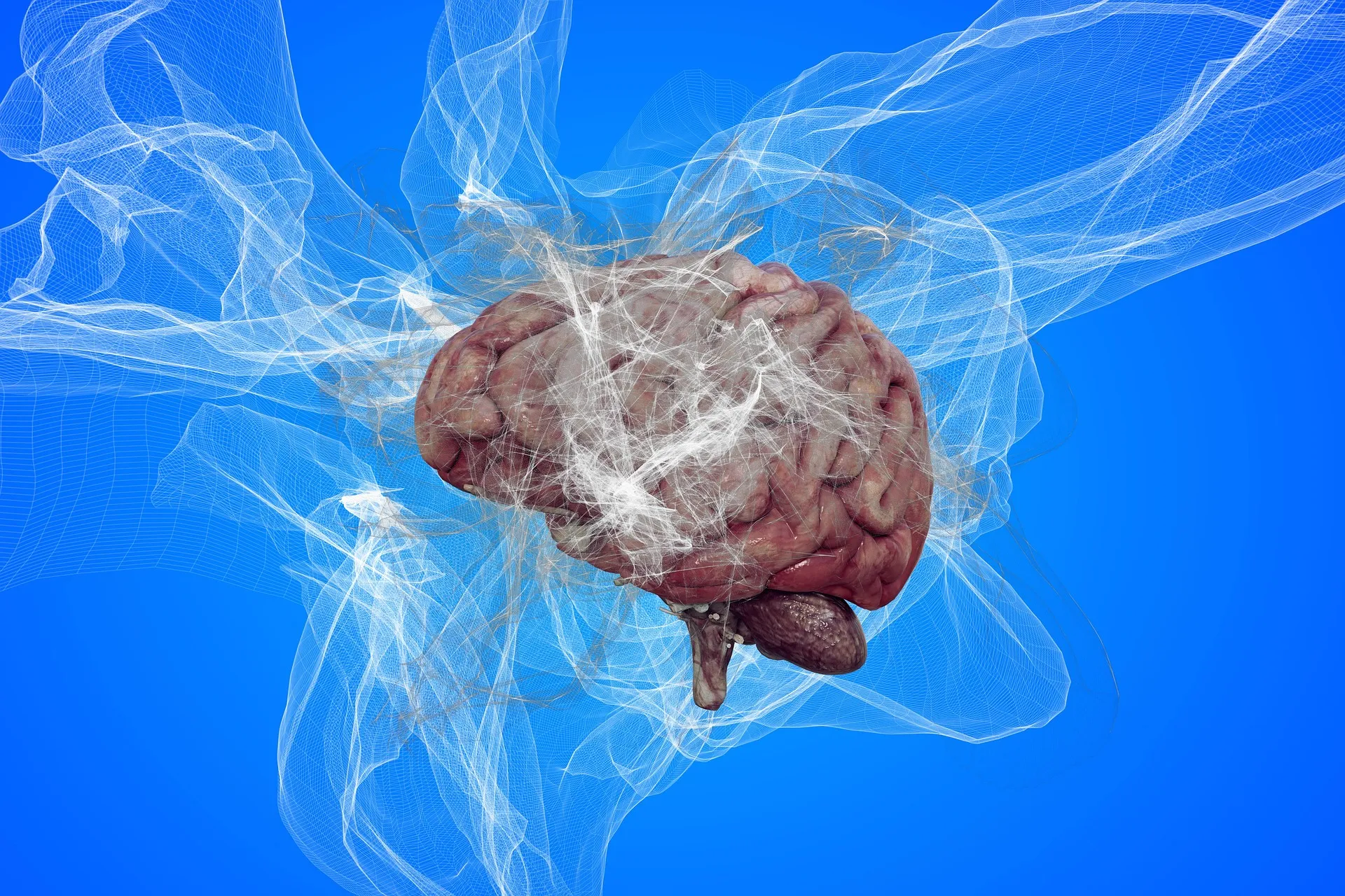 The Hidden Connection Between Sleep Problems and Brain Stress