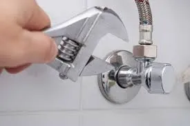 What Makes a Plumber Mount Cotton the Right Choice for Your Home?