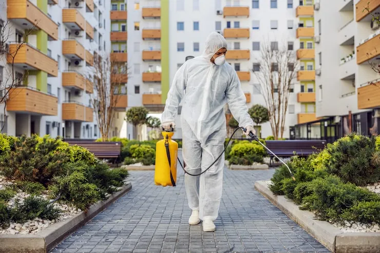 Affordable Pest Control Services in Chandigarh for Every Budget