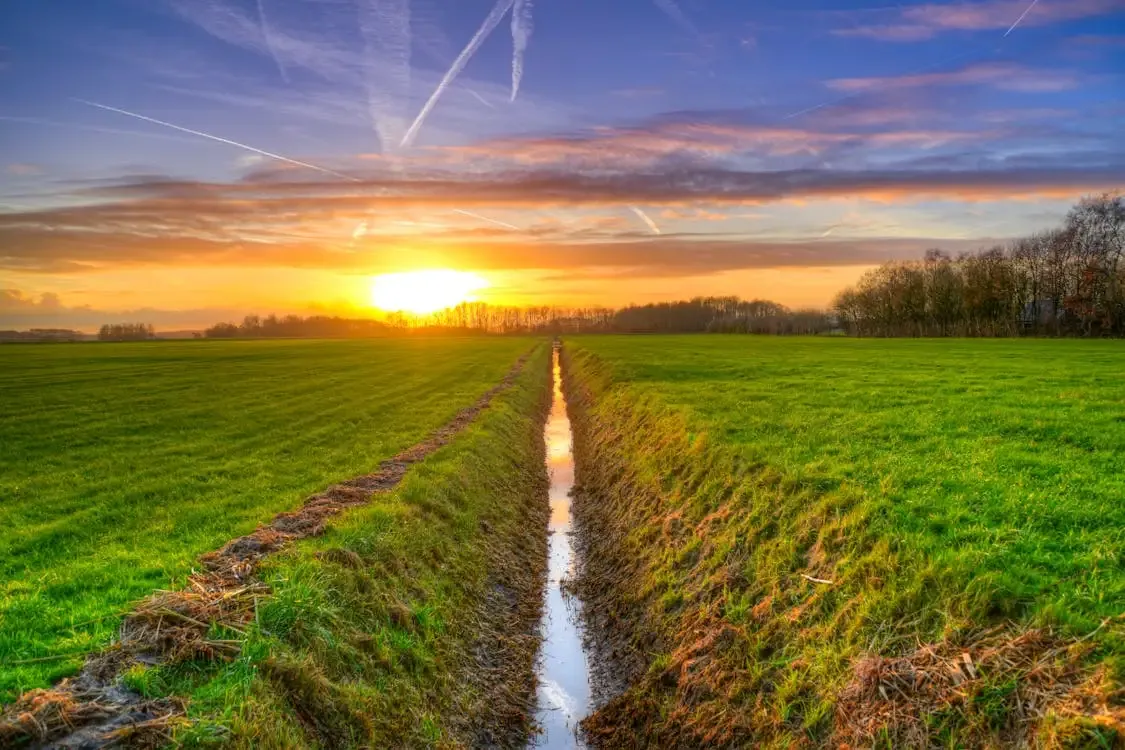 How to Dig a Trench: Everything You Need to Know Before the First Shovel Hits the Ground