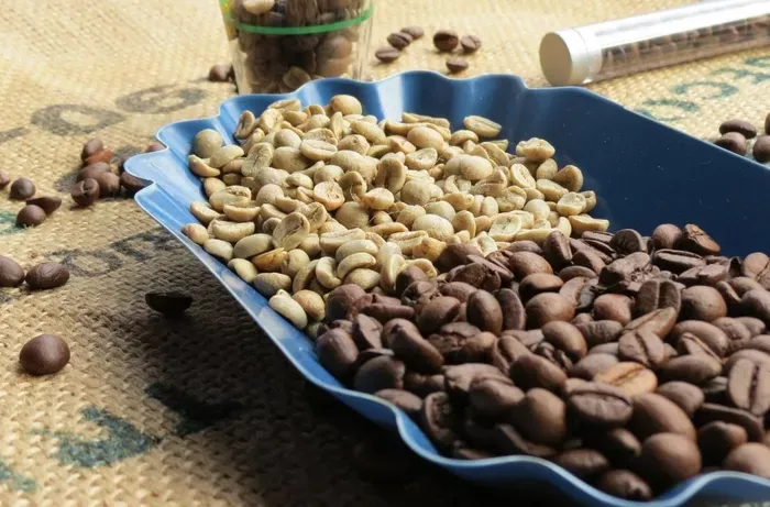 What Are Decaf Coffee Beans? Definition, How They Made & More